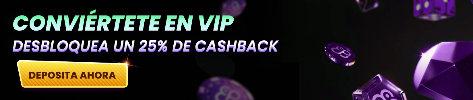 Resumen de condiciones de uso de CoinCasino